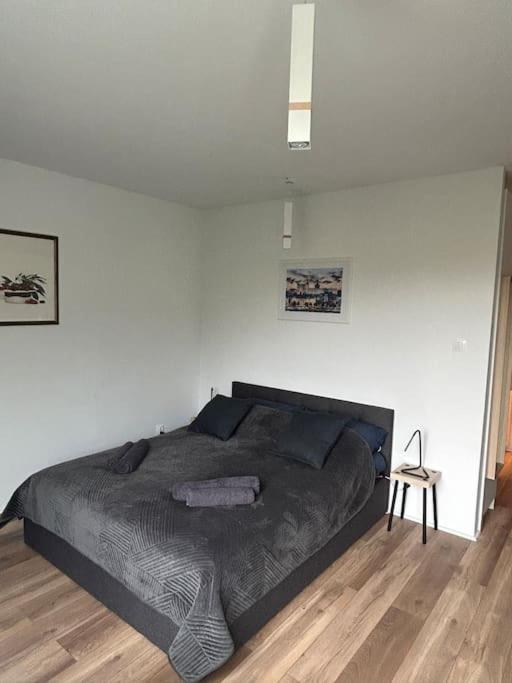 Apartment Stary *