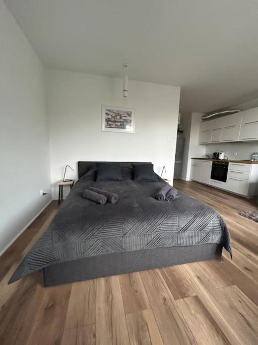 Apartment Stary